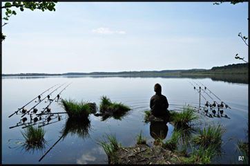 Carp Fishing